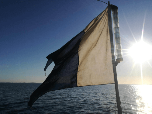 Dykkerflag - Flag Alfa